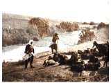 The River Kishon. `The river Kishon swept away Sisera`s charioteers` (Judges v, 21). On the left we see Mount Carmel. The river here suddenly becomes a dangerous rapid when the torrential rains descend. An early photograph.